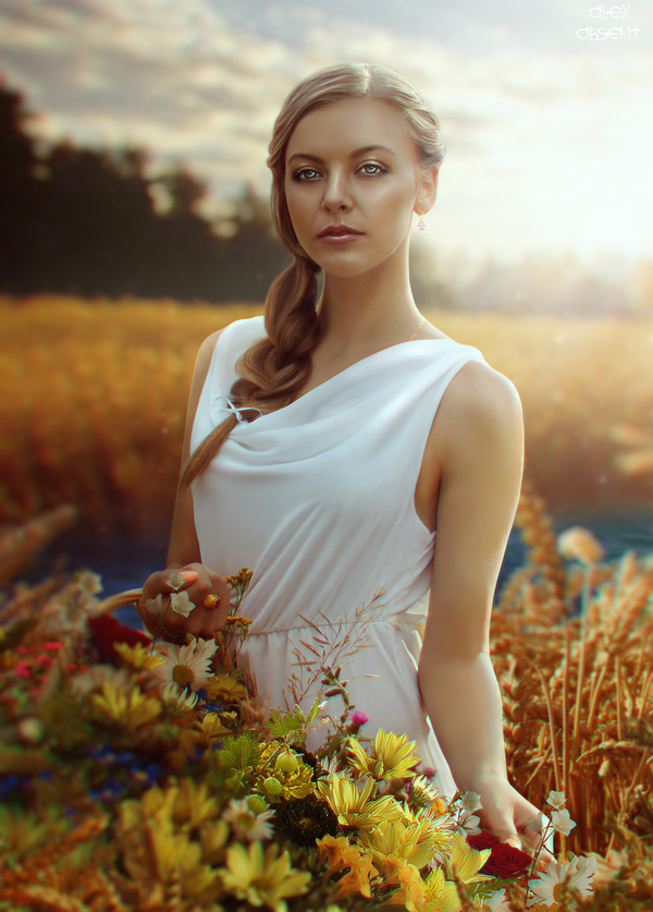Young woman - My, Girls, Field, Flowers, Retouch, Collage, The photo, Photomanipulation