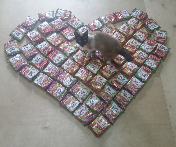 Happy Valentine's Day everyone! - My, cat, , , Valentine's Day, Big Lunch, Love, Muska