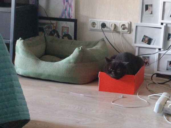 ����� ��������