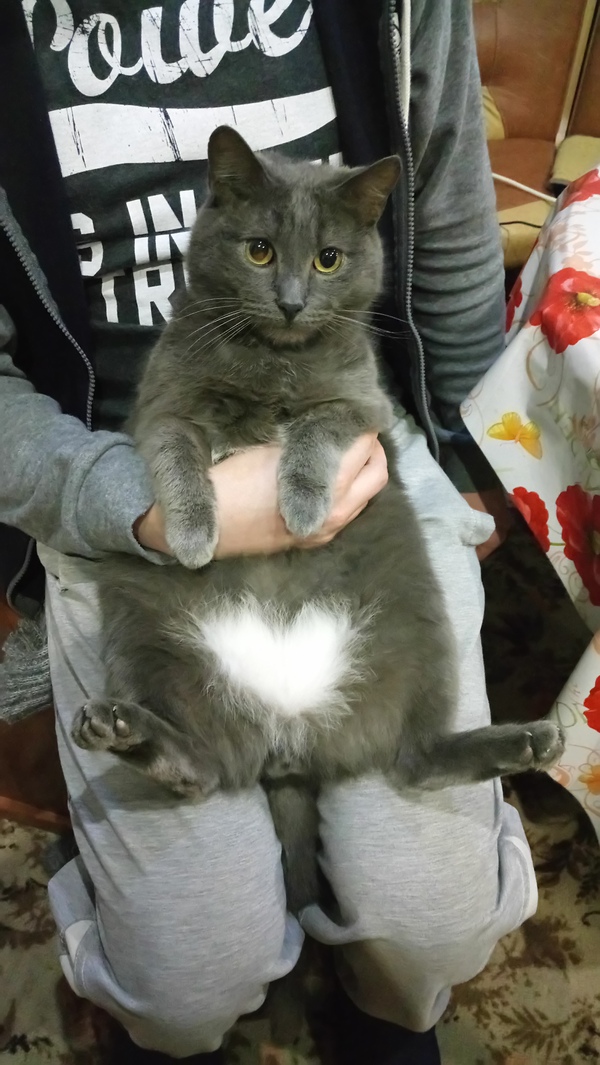 �����-������)