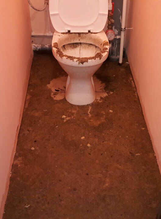 К чему снится забитая канализация в туалете