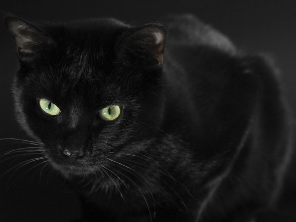 Самый феанористый Феанор