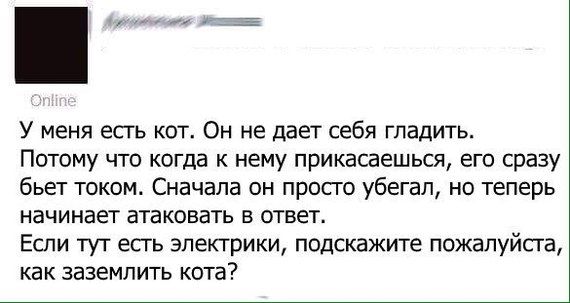 Как заземлить кота? - Скриншот, Юмор, Кот, Электростатика, Электрика, Вопрос