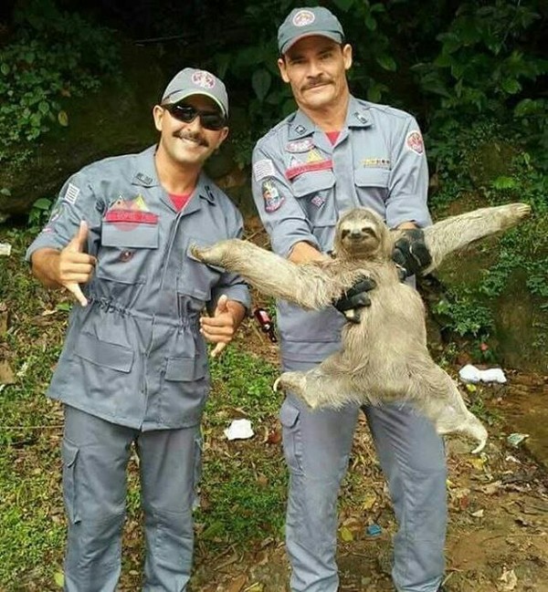 You will never be so photogenic - Photogenic, Brazil