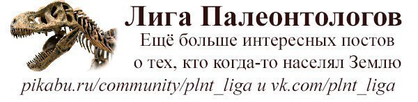 Аллотерии — совсем другие звери - Моё, Наука, Эволюция, Млекопитающие, Длиннопост, Палеонтология, Биология