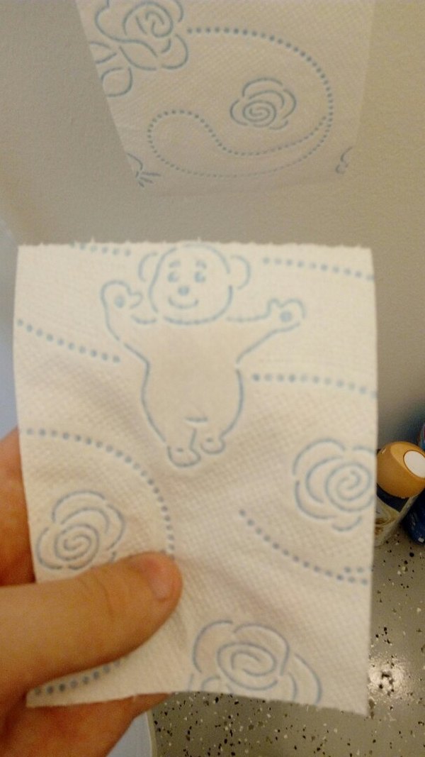 What a cheerful bear: 3 Only a terrible fate awaits him ... - Toilet paper, Toilet, Joke, A life, The Bears, Humor, Bad humor, Badly