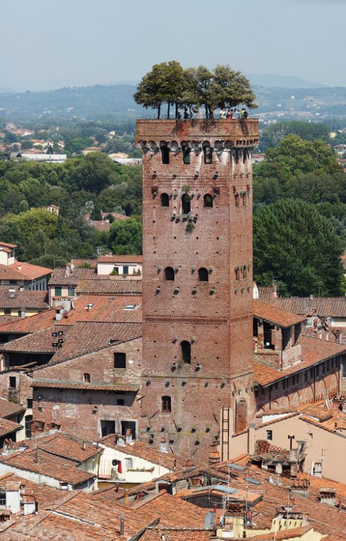 Oak garden at the top of the tower - Towers, Castle, Italy, Garden, Tree, Oak, Longpost