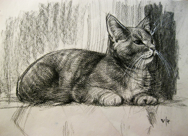 Cat - My, cat, Drawing, Graphics, Coal