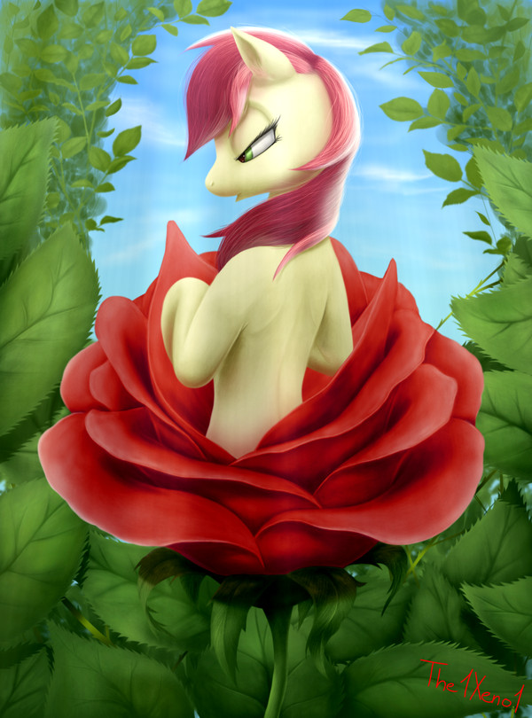 Pony blossom My Little Pony, Roseluck, , The1xeno1