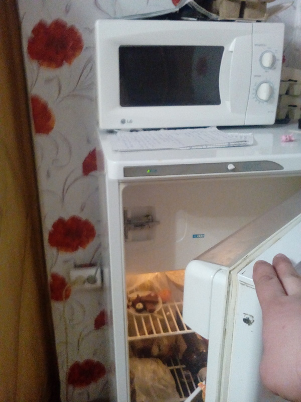 It's impossible to win this country)) - My, This country can not be defeated, Refrigerator, Longpost