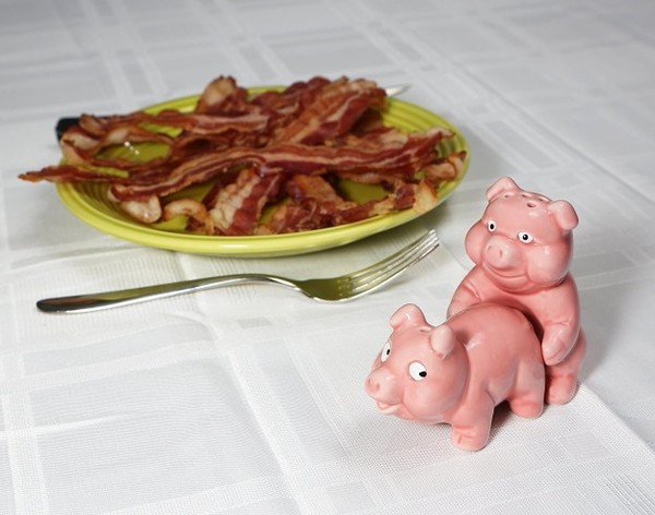 bacon - Food, Serving dishes, , salt shaker, , Entertainment