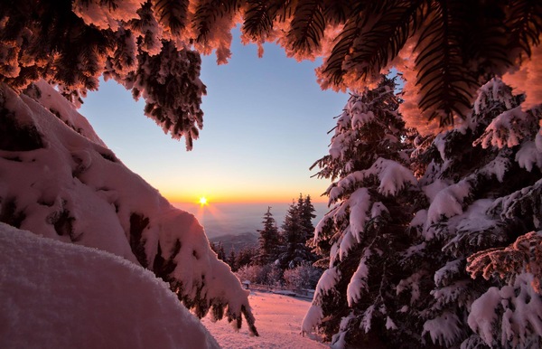 Зимняя красота в Австрии.