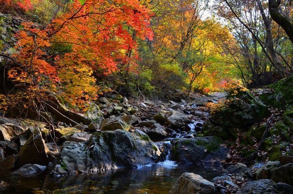 Garden of Morning Calm, South Korea - Travels, Garden, South Korea, Nature, sights, Longpost