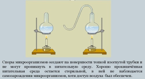 Origin of Life #2 - The science, Abiogenesis, Origin of life, Biology, Cell, Longpost