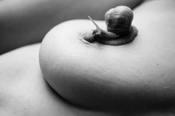 Snail - NSFW, Snail, 