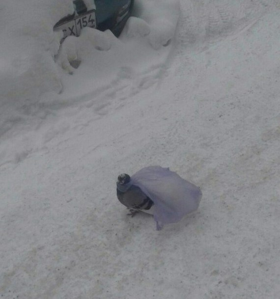 Этому городу нужен новый герой!