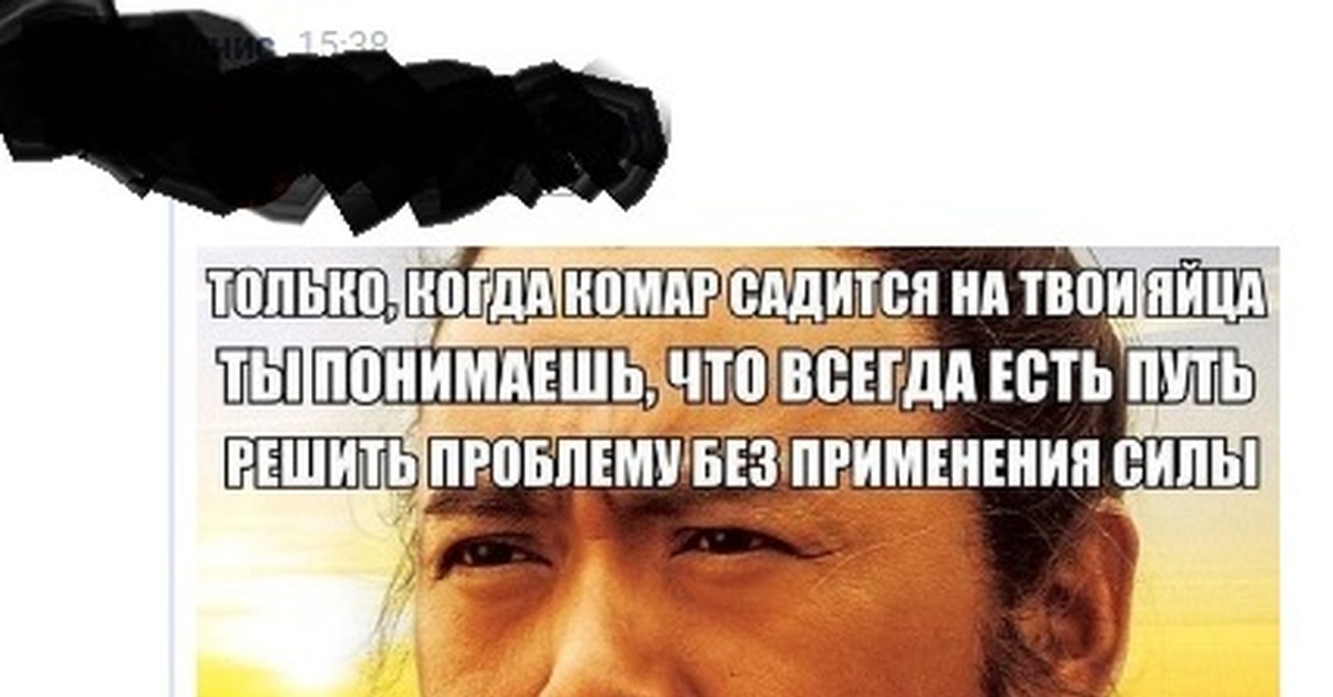 Только Когда Комар Садится На Твои Яйца Конфуций Картинка