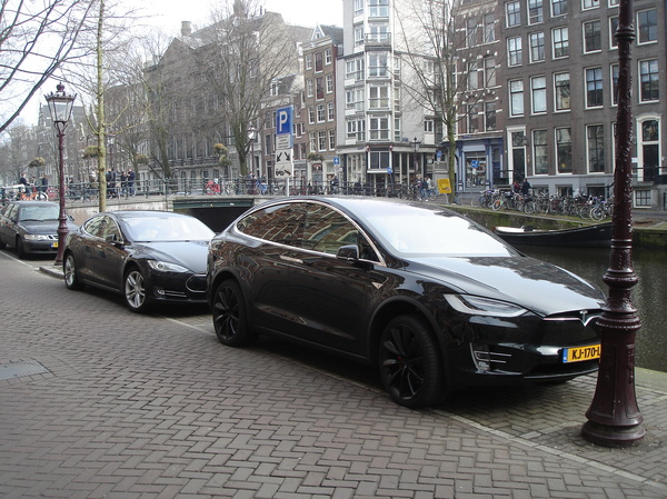 Rarely do you see such a couple in our area. - Auto, , Tesla Model X, Tesla model s, Tesla, Pair