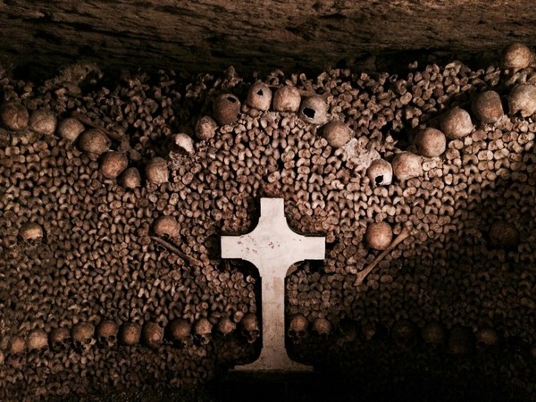 Decorative wall, in the catacombs of Paris. - Kripota, CreepСѓ, Cross, Bones, Wall, Reddit, Paris