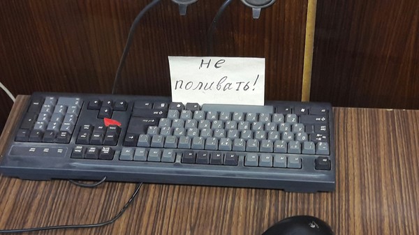 ��� �������� ��