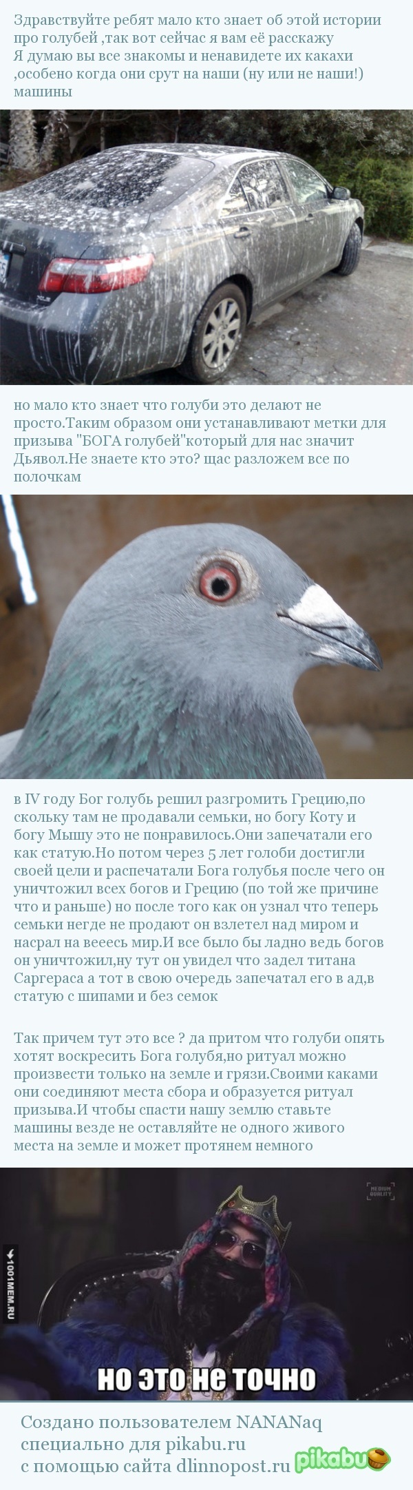 Какие болезни существуют у голубей?