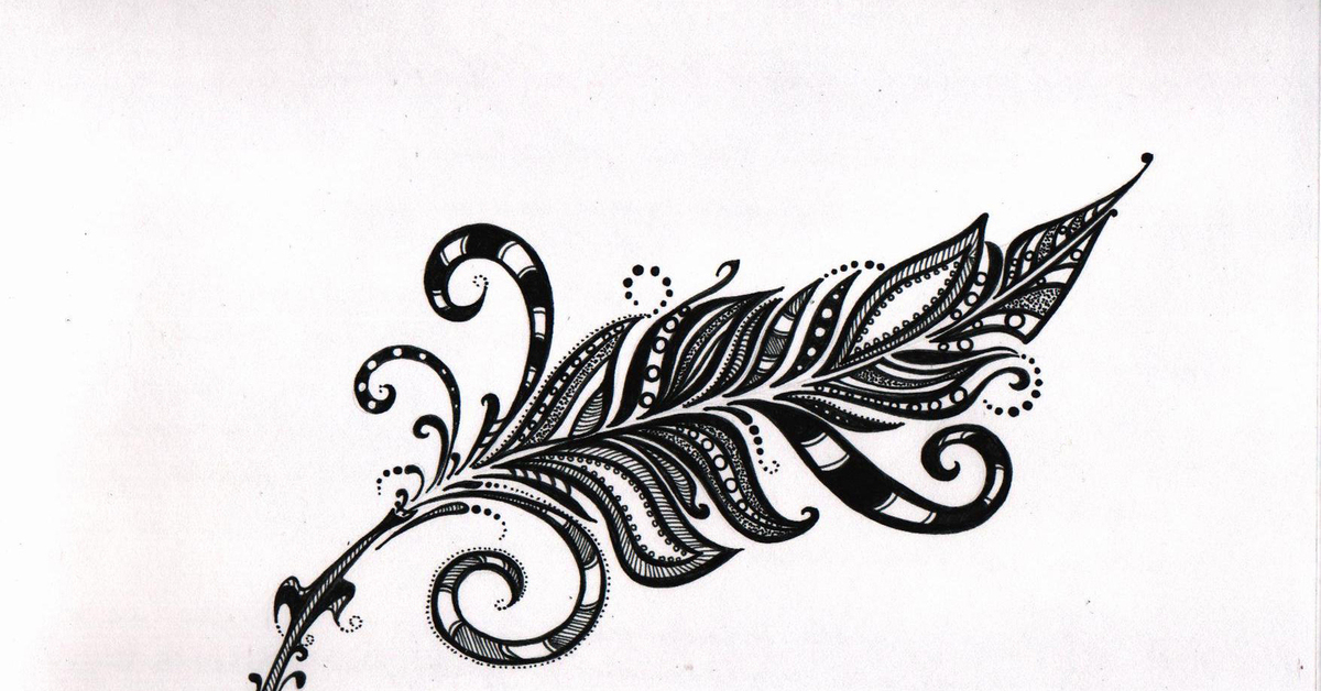 Пёрышко | Пикабу