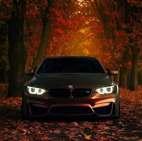 Gorgeous - Joy, Bmw