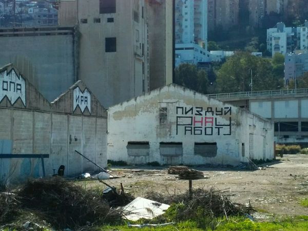 How do you like the slogan? - Israel, Haifa, The photo, Graffiti, Slogan, Mat, Longpost