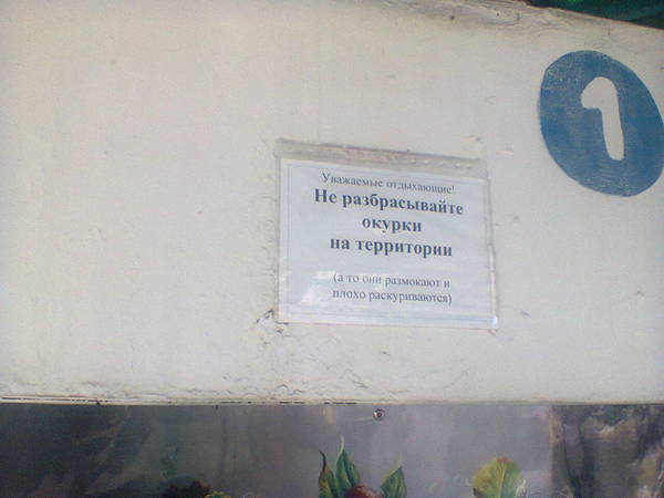 ����� � �������)