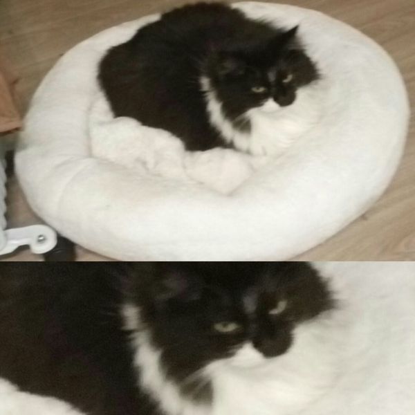  ,  ... , , , , 