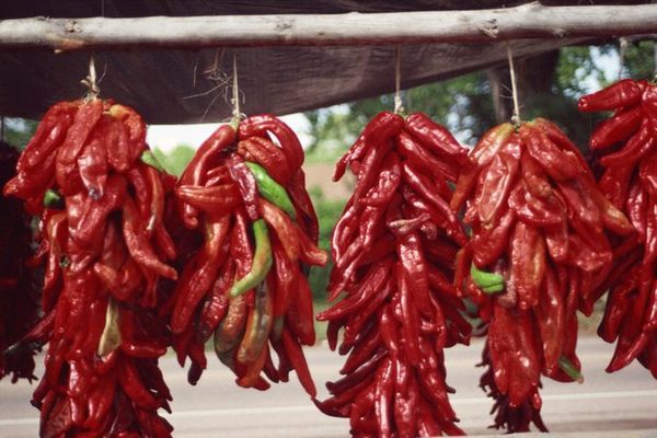 Pepper, children, New Year - My, Hot red pepper, Children, New Year, Safety engineering, Prophylaxis, Hot peppers