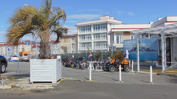 Аналитика рынка недвижимости Сочи. Агентство "Мандарин". Сочи, Адлер, Недвижимость, Квартира, Недвижимость Сочи, Аналитика, Жилье, Длиннопост