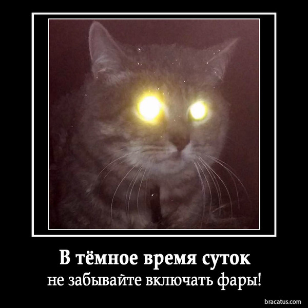 ������ �������������