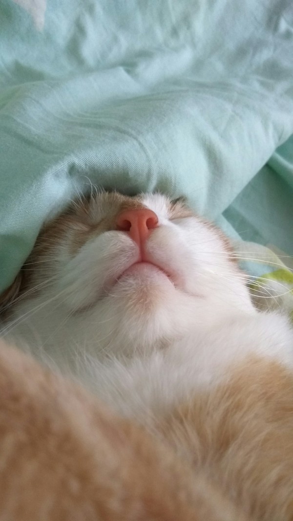   ,    . , ,  