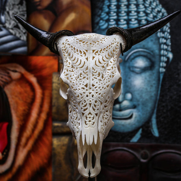 Bone carving - Craft, Carving, Bones, Animals, Scull, Longpost