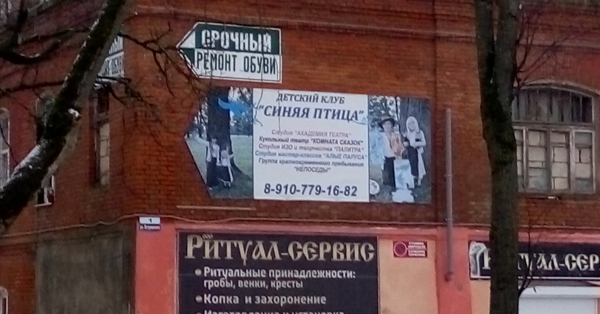 Вся жизнь в одной картинке