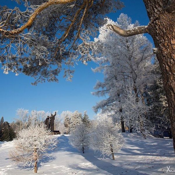 camp garden) - Tomsk, Camp Garden, beauty, Winter