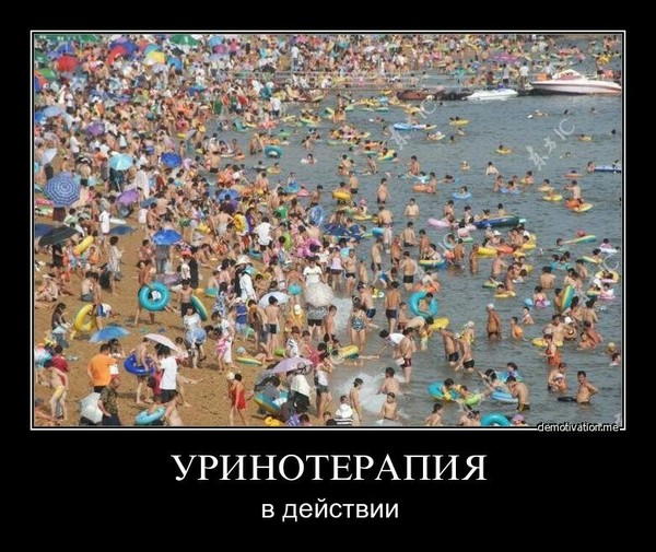 ���� �� ������ �������