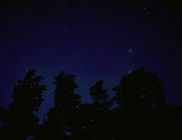 My first photo of the starry sky... - Starry sky, Night