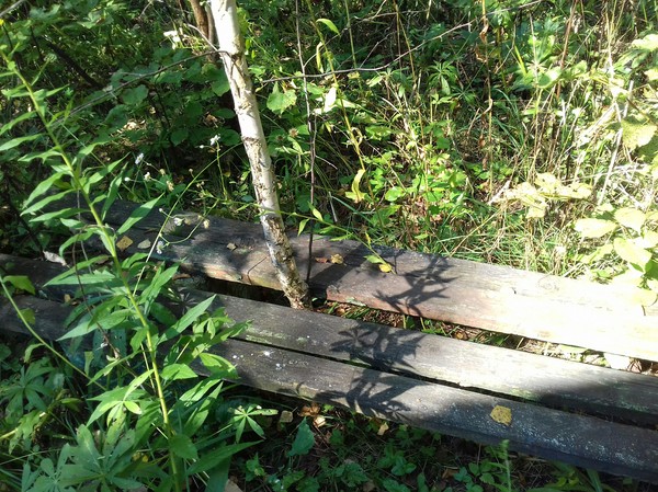 ���� ����������� ���������� ������ � ������. ����, ������� � ����, ������, �������, ����������