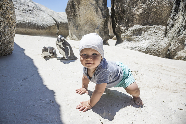Boy Tikhon and penguins. - Cape Town, Penguins, Africa, South Africa, Mikhail Korostelev, Not mine, Children, Longpost