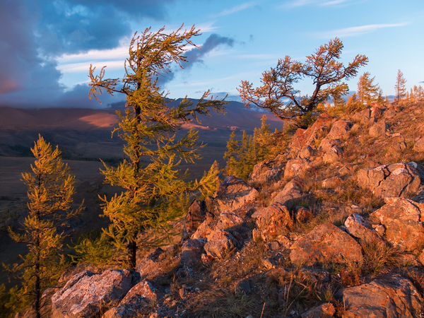 Немного природы Алтая в вашу ленту Природа, Россия, Природа России, Курайская степь, Алтай, Сибирь, Длиннопост
