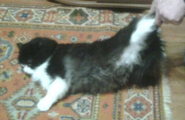 ���, ������ �� ������!