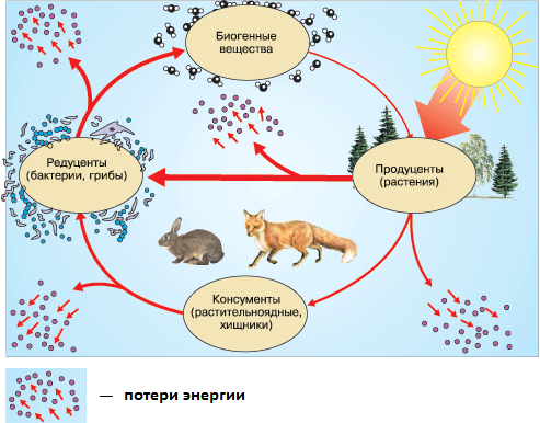 Происхождение жизни #3 - Моё, Происхождение жизни, Наука, Биология, Абиогенез, ДНК, Рнк, Гифка, Длиннопост