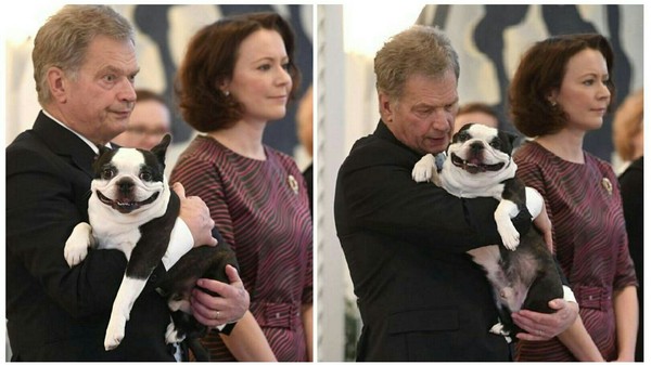 What does it mean to be the president of Finland and his dog - The senses, Finland, Dog, The president