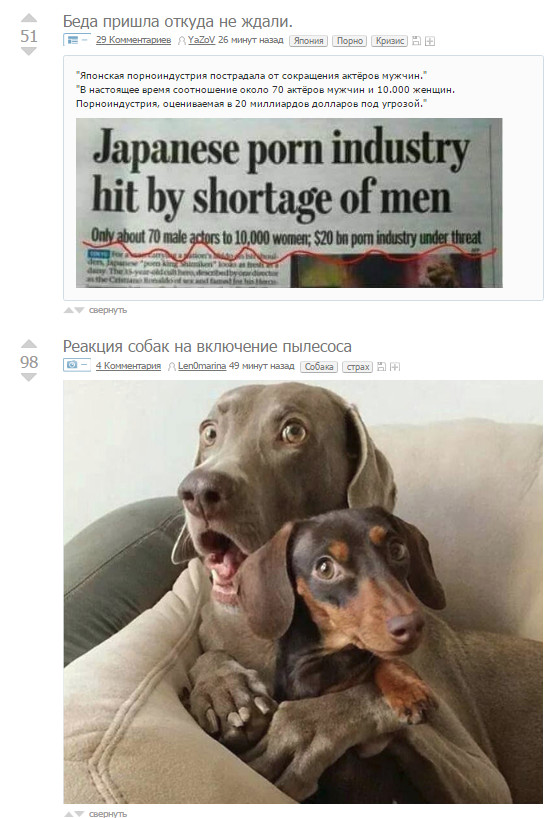 The reaction of dogs to .... the situation with the porn industry in Japan - Coincidence, Peekaboo, Dog, Fear, Japan
