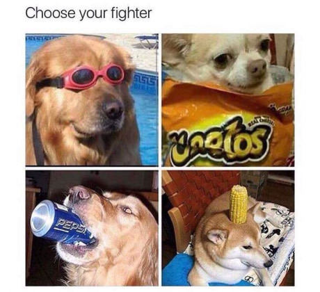 Choose your fighter - Mortal kombat, Fighters, Dog