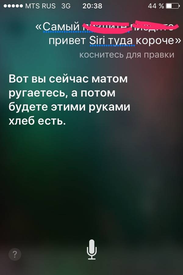 Любимый ответ Siri - NSFW, Siri, Apple, Моё, iPhone