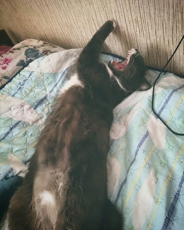 Монстр
