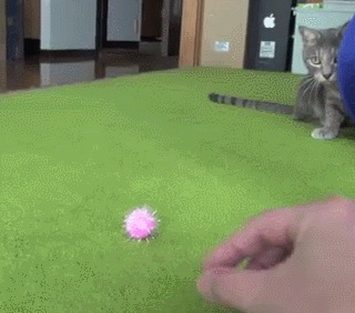 Готовность номер 1